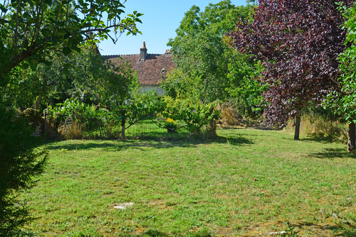 photo2
